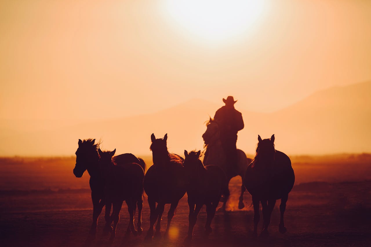 A cowboy riding a horse leads a herd in the desert, silhouetted against a vivid sunset.